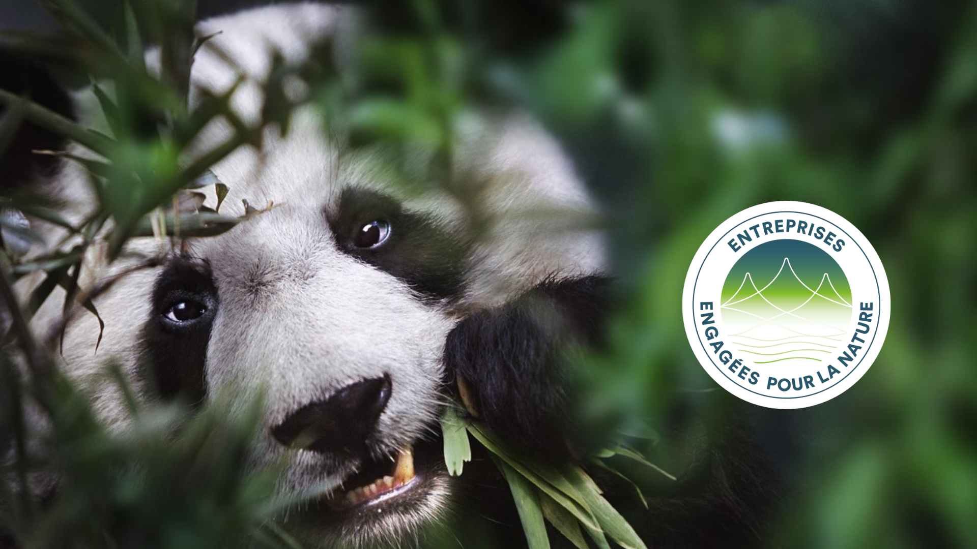 Pourquoi NURU s’engage dans la démarche «Entreprises engagées pour la nature»